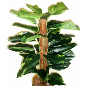 áRVORE COSTELA DE AD?O JW0009-3 RAJADA