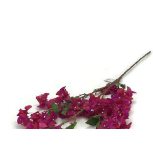 GALHO BOUGAINVILLE GRANDE