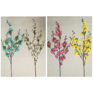 GALHO CEREJEIRA SY01287 COLORIDO