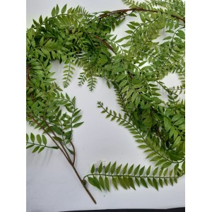 PENDENTE SAMAMBAIA CORRENTE