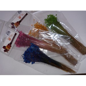 FLOR SEMPRE VIVA ESPECIAL COLOR