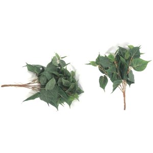 FOLHAGEM DE FILODENDRO C/7 GALHOS