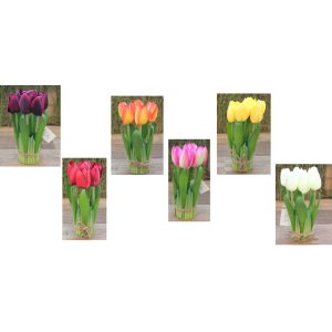 TULIPA C/7 GALHOS FF-0007 MA?O COLOR 19CM