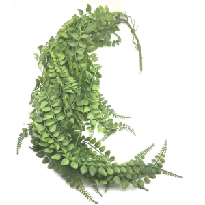 PENDENTE  PEPEROMIA  PREMIUM