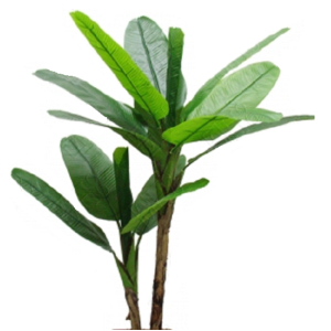 áRVORE BANANEIRA PREMIIUM PEQUENA