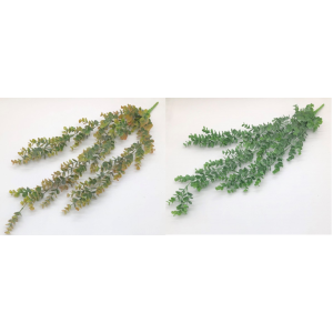 PENDENTE 87209 EUCALIPTO MESCLADO