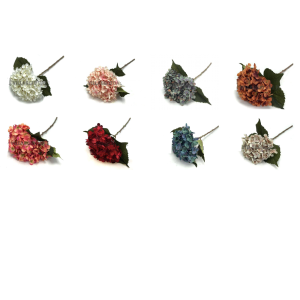 HORTÊNCIA C/1 AD0063 OUTONAL