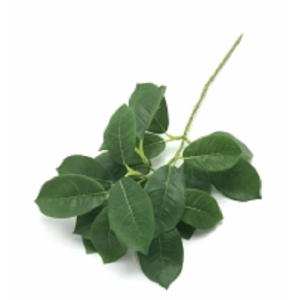 FOLHAGEM W300-162 BLUME VERDE 35CM