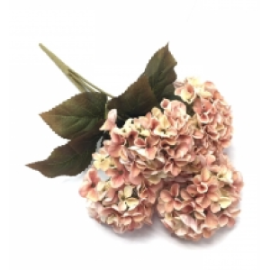 HORTÊNCIA X5 W300-172 ENVELHECIDA