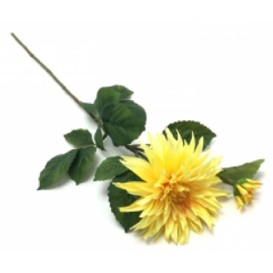 DALIA GIGANTE C/01 BOTÃO