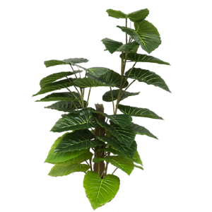 ÁRVORE 0371-37 FILODENDRO 1,60M