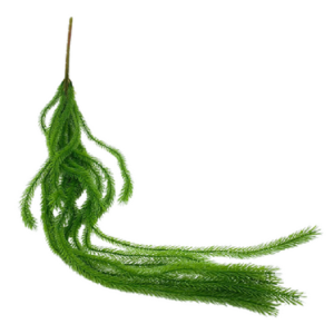 PENDENTE BG320006 CHORÃO 113CM