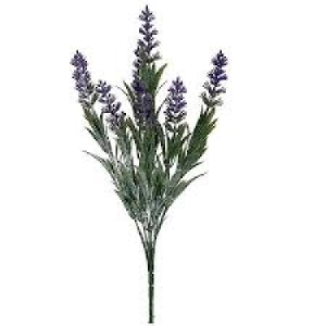 LAVANDA C/7 GALHOS AP-0060 CAPIM