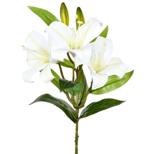 LIRIO TIGRE C/ TRES TOQUE REAL