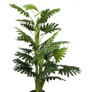 ÁRVORE DE TAIOBA PEQUENA