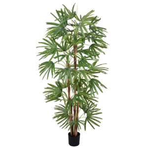 ÁRVORE PALMEIRA LEQUE COM 5 REAL TOQUE VERDE
