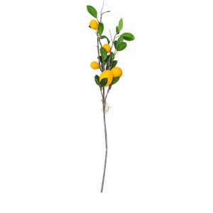 GALHO DE LIMAO COM 5