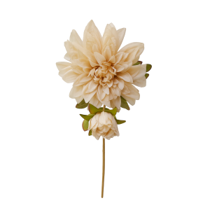 HASTE DE FLOR DALIA OUTONAL