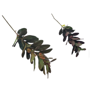 HASTE DE FOLHAGEM C/SEMENTES