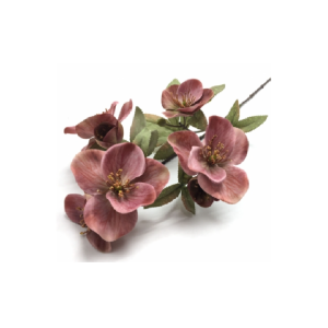 GALHO DE MAGNOLIA  COM 5