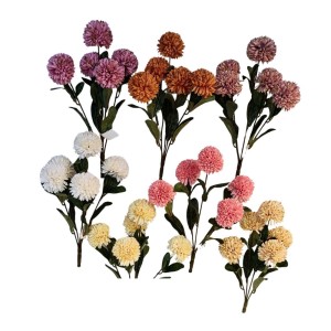 FLOR DENTE DE LEAO OUTONADA  COM 5