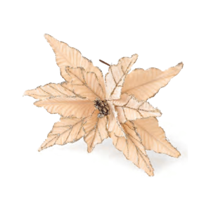 FLOR NATALINA  BICO DE PAPAGAIO LUXO CHAMPANHE