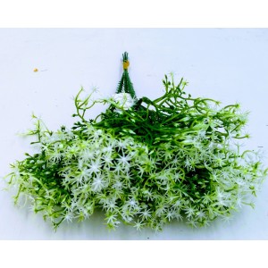 PICK C/6 P?S DENTE DE LEAO