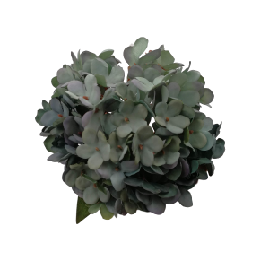 HORTENCIA C/1 EO-0014 UNITÁRIA